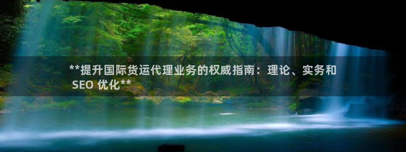 尊龙ag：**提升国际货运代理业务的权威指南：理论、实务