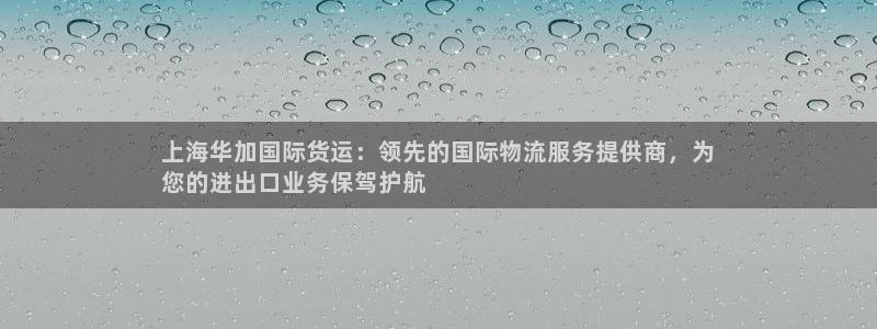 尊龙凯时ag旗舰厅试玩：上海华加国际货运：领先的国际物流