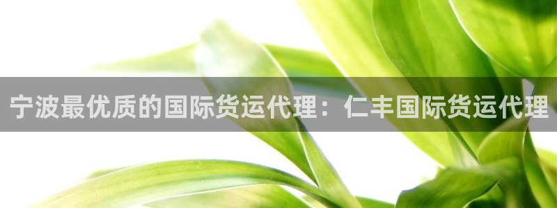 尊龙凯时登陆入口：宁波最优质的国际货运代理：仁丰国际货运