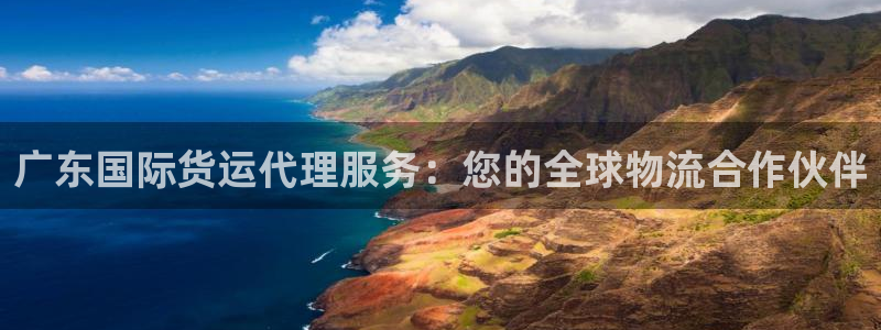 尊龙手机官方客户端下载安卓：广东国际货运代理服务：您的全