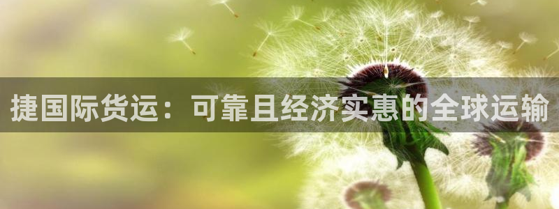 尊龙ag旗舰官网：捷国际货运：可靠且经济实惠的全球运输