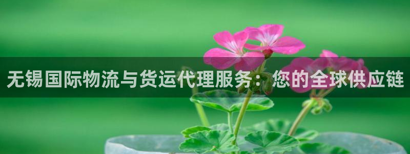 尊龙实业有限公司属于国企吗：无锡国际物流与货运代理服务：