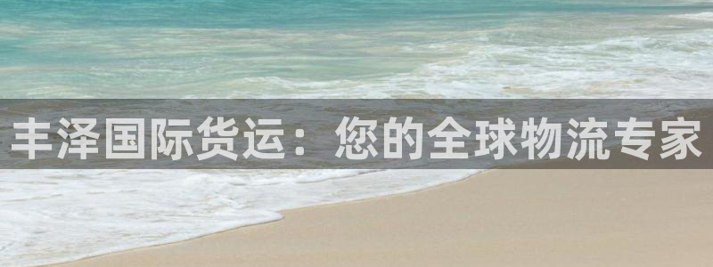 尊龙凯时是哪个国家的：丰泽国际货运：您的全球物流专家