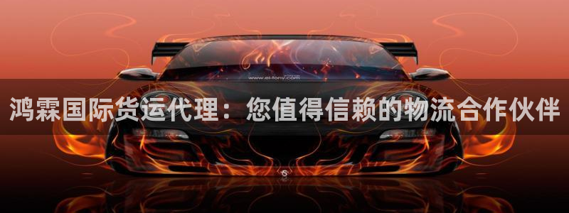 Z6尊龙官网入口：鸿霖国际货运代理：您值得信赖的物流合作