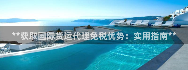 尊龙内地：**获取国际货运代理免税优势：实用指南**