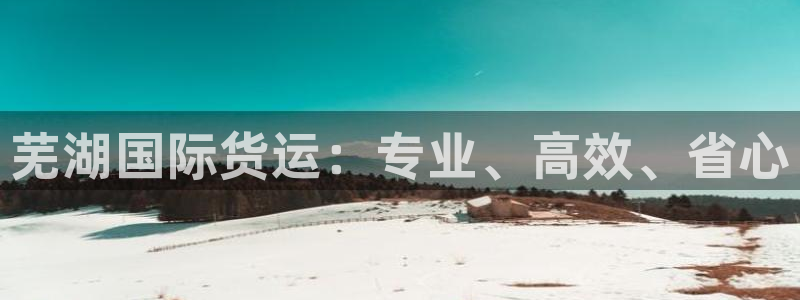 z6尊龙凯时：芜湖国际货运：专业、高效、省心