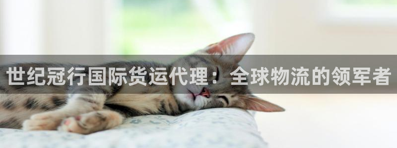 尊龙信息科技有限公司：世纪冠行国际货运代理：全球物流的领