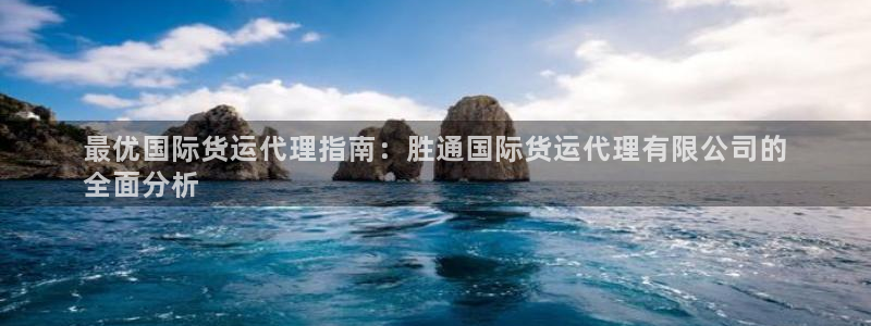 尊龙凯时和九游会哪个平台好一点：最优国际货运代理指南：胜