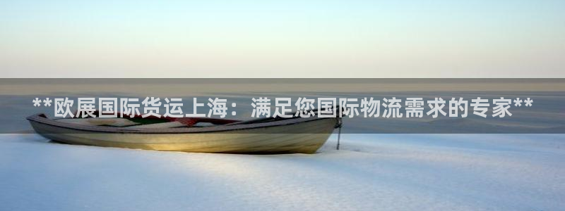 尊龙官网APP下载：**欧展国际货运上海：满足您国际物流