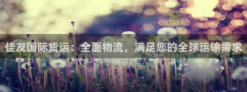 尊龙官方网站首页：佳友国际货运：全面物流，满足您的全球运