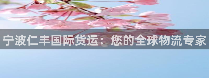 尊龙凯时网娱乐最新版下载：宁波仁丰国际货运：您的全球物流