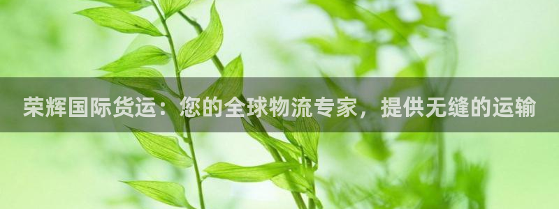 尊龙实业：荣辉国际货运：您的全球物流专家，提供无缝的运输