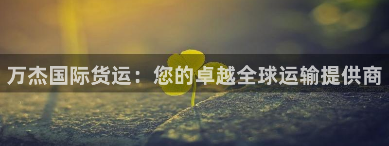 尊龙凯时app安装：万杰国际货运：您的卓越全球运输提供商