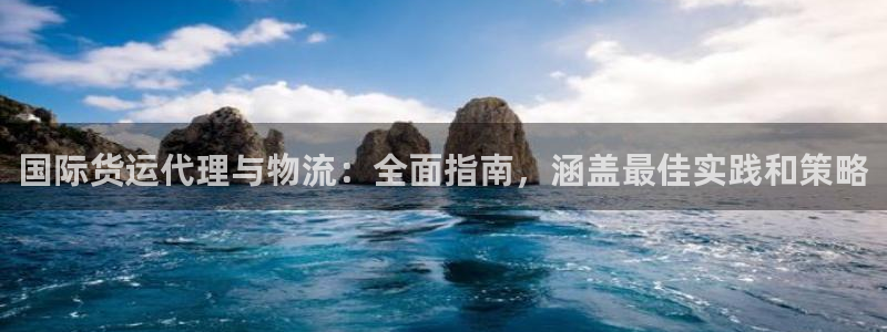 尊龙凯时老板是谁：国际货运代理与物流：全面指南，涵盖最佳