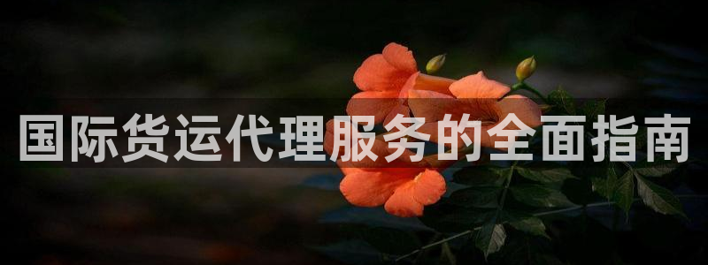z6com尊龙：国际货运代理服务的全面指南