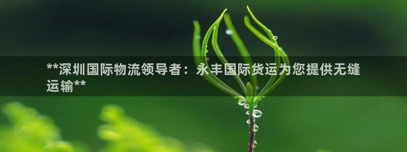 尊龙凯时人生就博官网登录：**深圳国际物流领导者：永丰国