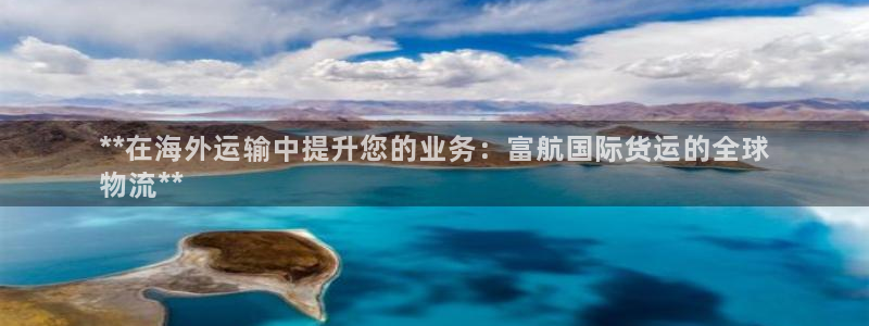 尊龙z6集团：**在海外运输中提升您的业务：富航国际货运