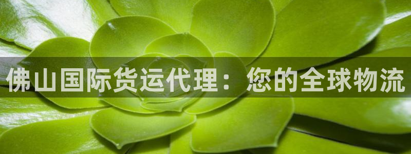 尊龙凯时电竞注册：佛山国际货运代理：您的全球物流