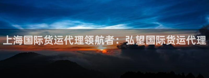 尊龙凯时网站怎么样：上海国际货运代理领航者：弘望国际货运