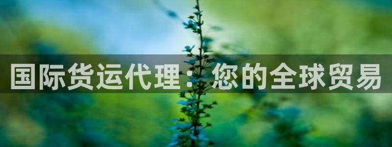 尊龙凯时几百万怎么下：国际货运代理：您的全球贸易