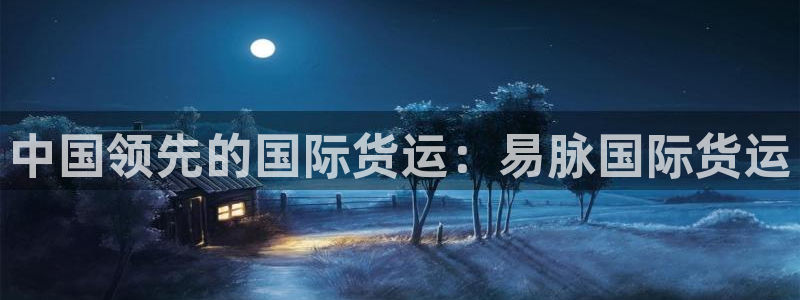 尊龙凯时游戏厅：中国领先的国际货运：易脉国际货运