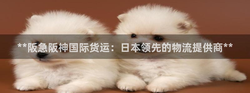 尊龙凯时ag旗舰：**阪急阪神国际货运：日本领先的物流提