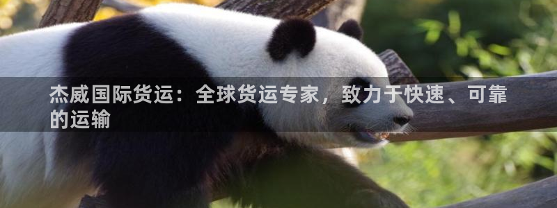 尊龙d88现金关注ag发财网：杰威国际货运：全球货运专家