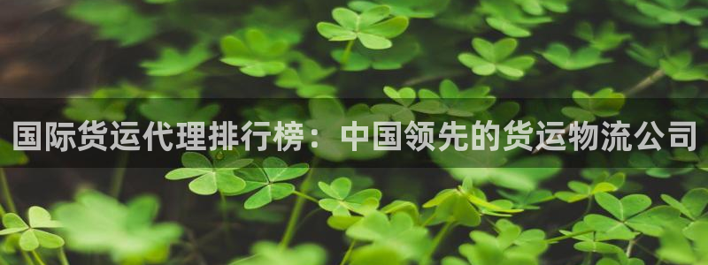 尊龙凯时不给提款：国际货运代理排行榜：中国领先的货运物流