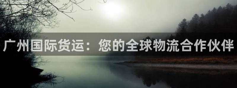 尊龙凯时代理：广州国际货运：您的全球物流合作伙伴