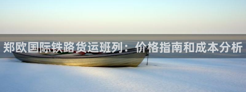 尊龙d88手机版下载：郑欧国际铁路货运班列：价格指南和成