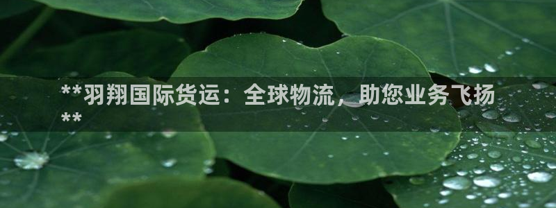 尊龙凯时 - 人生就是搏手机登录：**羽翔国际货运：全球