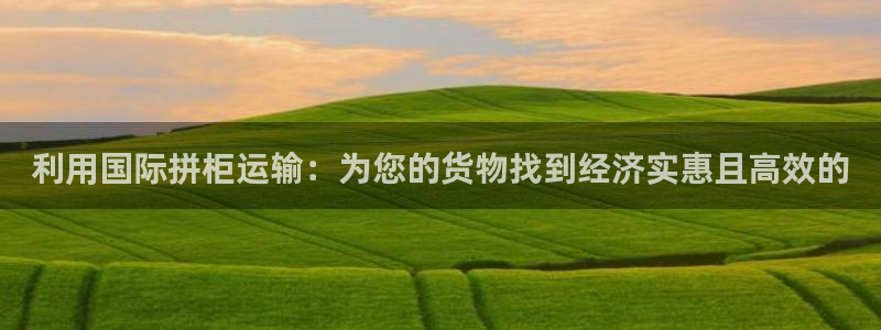 尊龙贴吧：利用国际拼柜运输：为您的货物找到经济实惠且高效