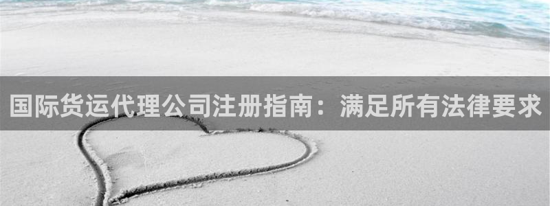 尊龙AG发财网：国际货运代理公司注册指南：满足所有法律要