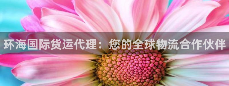 尊龙凯时麻将胡了：环海国际货运代理：您的全球物流合作伙伴