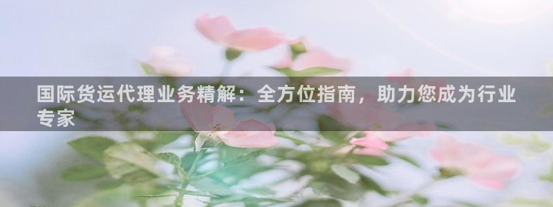 尊龙凯时平台信誉怎样：国际货运代理业务精解：全方位指南，