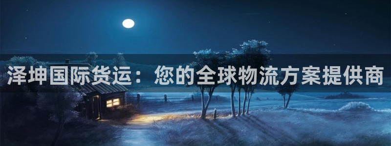 尊龙t200：泽坤国际货运：您的全球物流方案提供商
