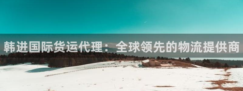 尊龙凯时v7要冲多少：韩进国际货运代理：全球领先的物流提