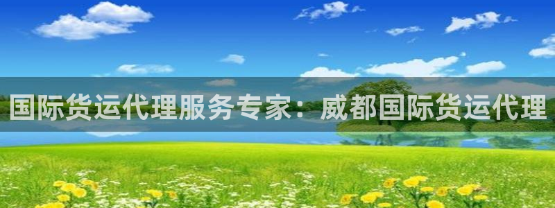 尊龙凯时网站赌愽是真的吗：国际货运代理服务专家：威都国际