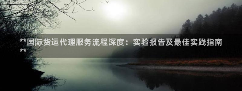 尊龙app登录不了：**国际货运代理服务流程深度：实验报
