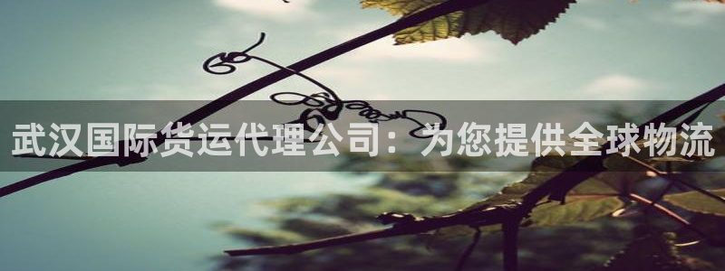 尊龙凯时账号异常审核提不了款怎么办：武汉国际货运代理公司
