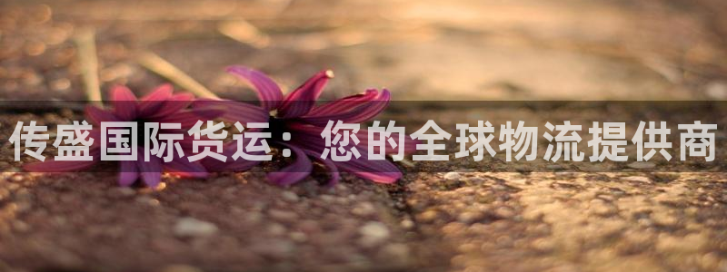 尊龙凯时网站不让提款：传盛国际货运：您的全球物流提供商