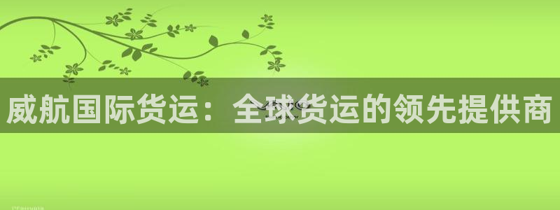 尊龙官网免费下载：威航国际货运：全球货运的领先提供商