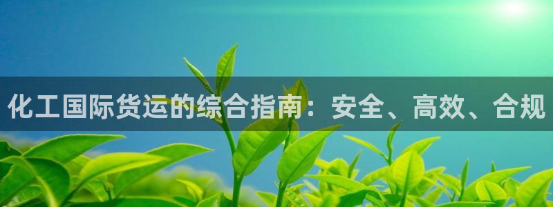 尊龙凯时家居是品牌吗：化工国际货运的综合指南：安全、高效