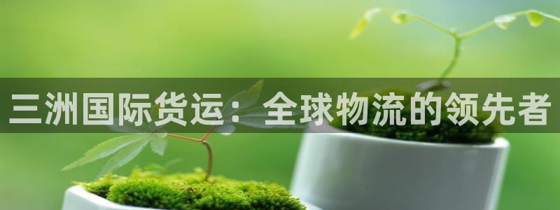 z6com尊龙凯时：三洲国际货运：全球物流的领先者