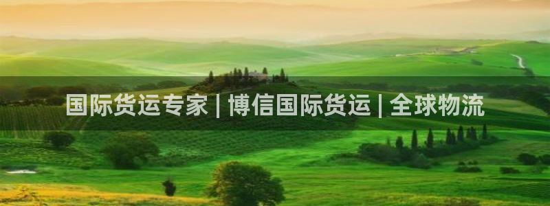 尊龙凯时人生就是搏平台：国际货运专家 | 博信国际货运 