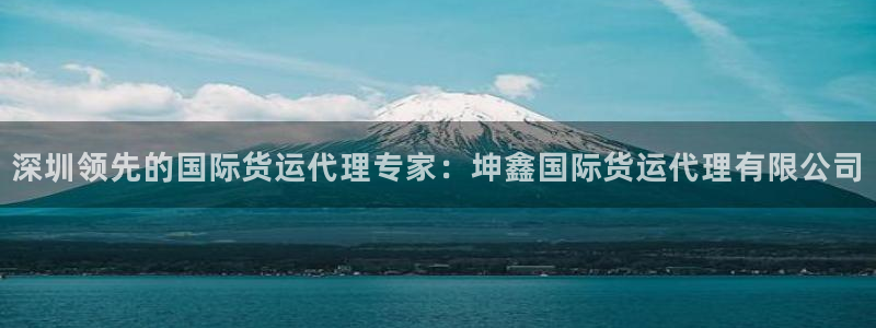 尊龙凯时集团：深圳领先的国际货运代理专家：坤鑫国际货运代