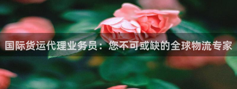 d88尊龙官方网：国际货运代理业务员：您不可或缺的全球物