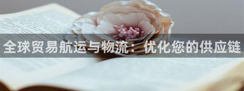 尊龙凯时官网：全球贸易航运与物流：优化您的供应链