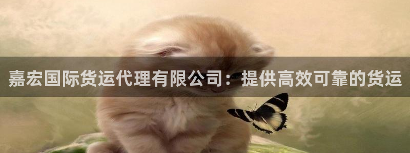 尊龙网站 人生就是博：嘉宏国际货运代理有限公司：提供高效
