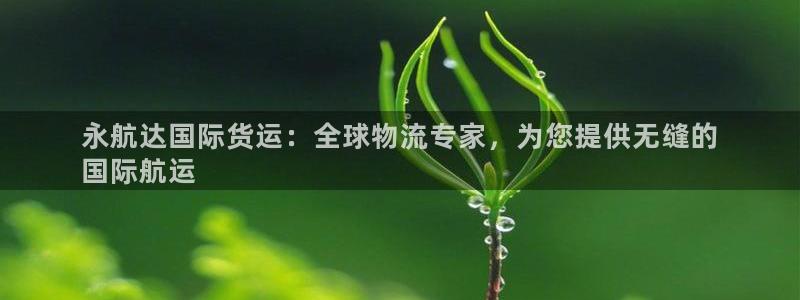 d88尊龙官方网：永航达国际货运：全球物流专家，为您提供